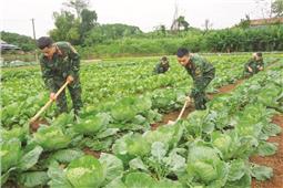 Đẩy mạnh tăng gia sản xuất, nâng cao đời sống bộ đội